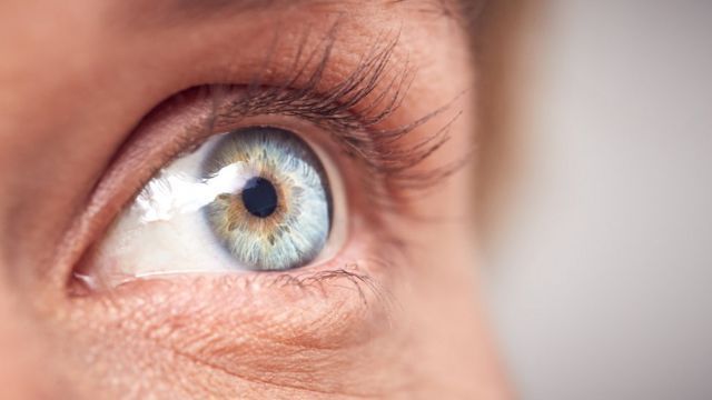 La Postura Ciega vs. Aprendizaje Consciente